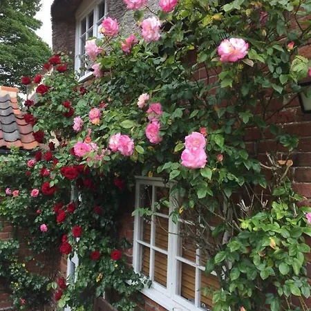 Rose Cottage Ludham Esterno foto