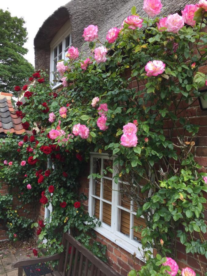 Rose Ludham