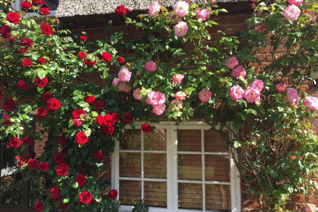 Holiday home Rose *