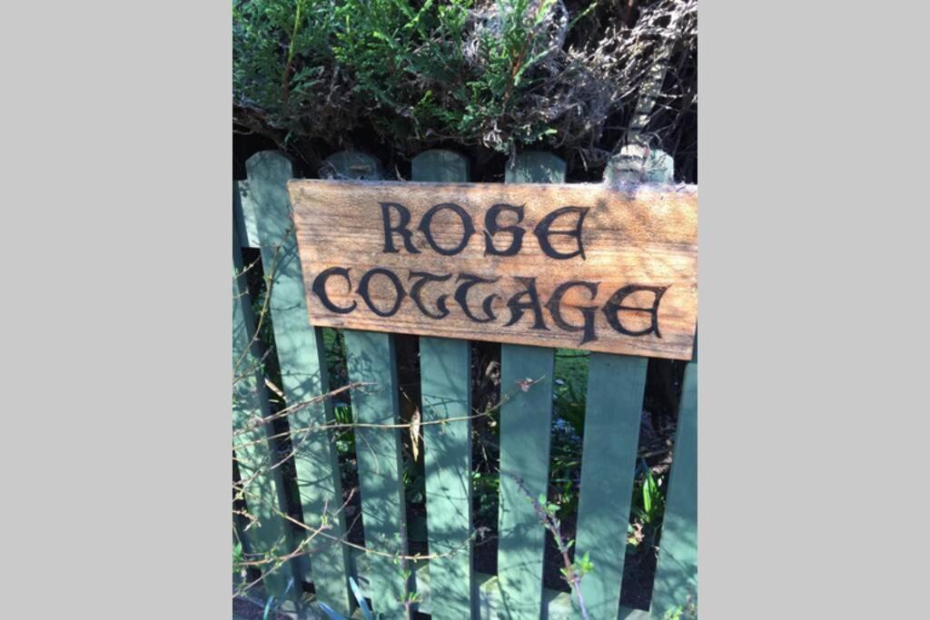 Rose Ludham