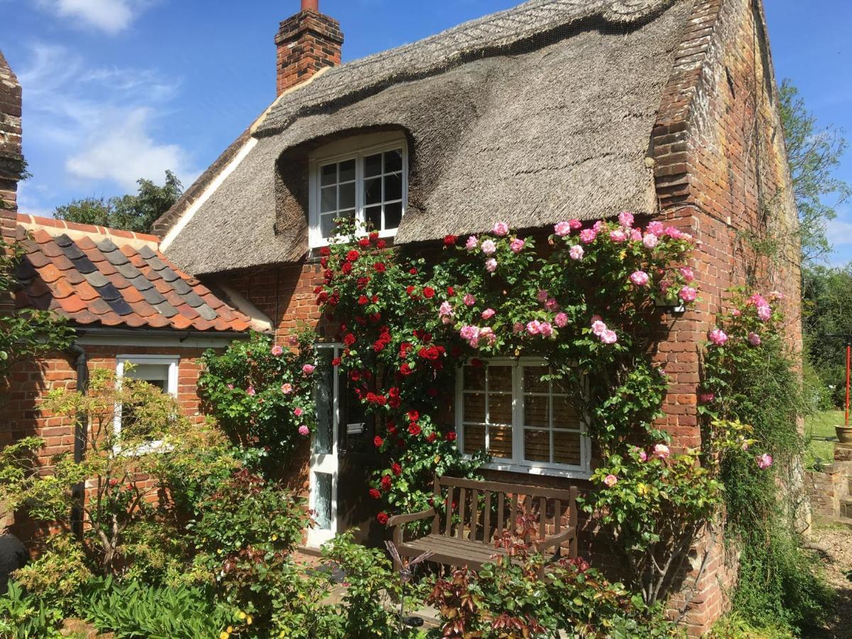 Rose * Ludham